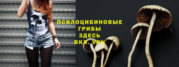 крисы Бугульма