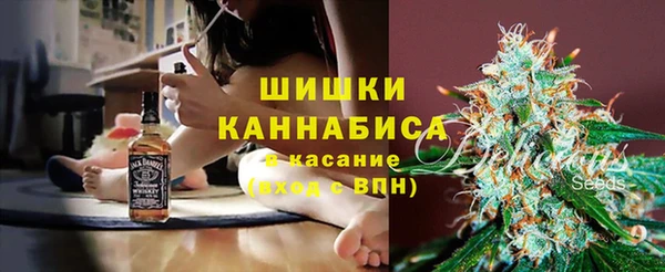 крисы Бугульма