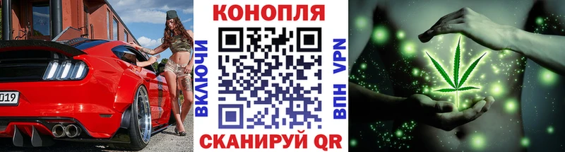 как найти наркотики  Буй  Марихуана LSD WEED 